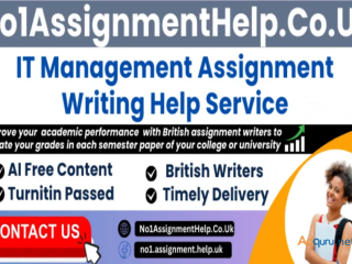 IT Management Assignment Help By No1AssignmentHelp.Co.UK