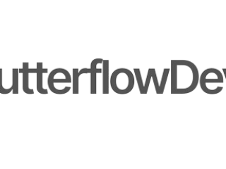 Top FlutterFlow Development Company : Expert Solutions