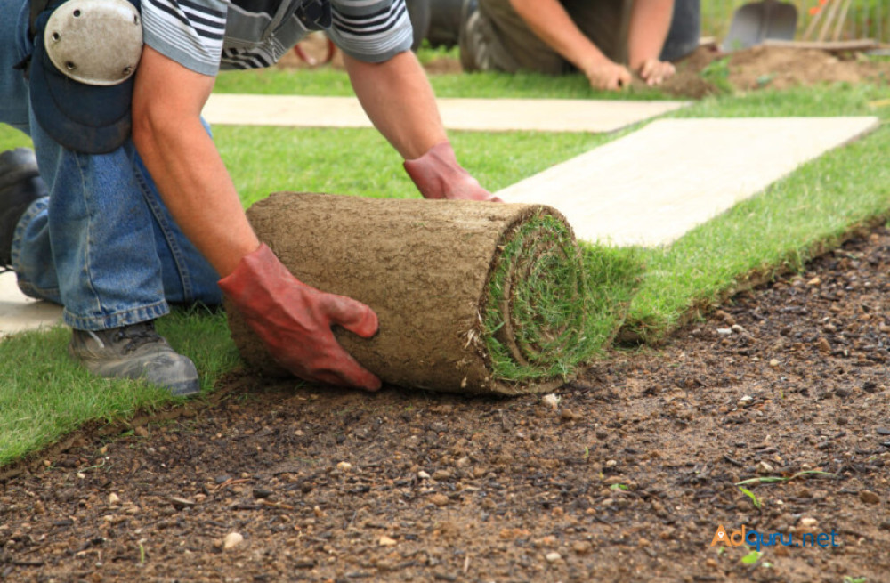 go-green-landscapes-premier-garden-maintenance-services-in-essex-big-0