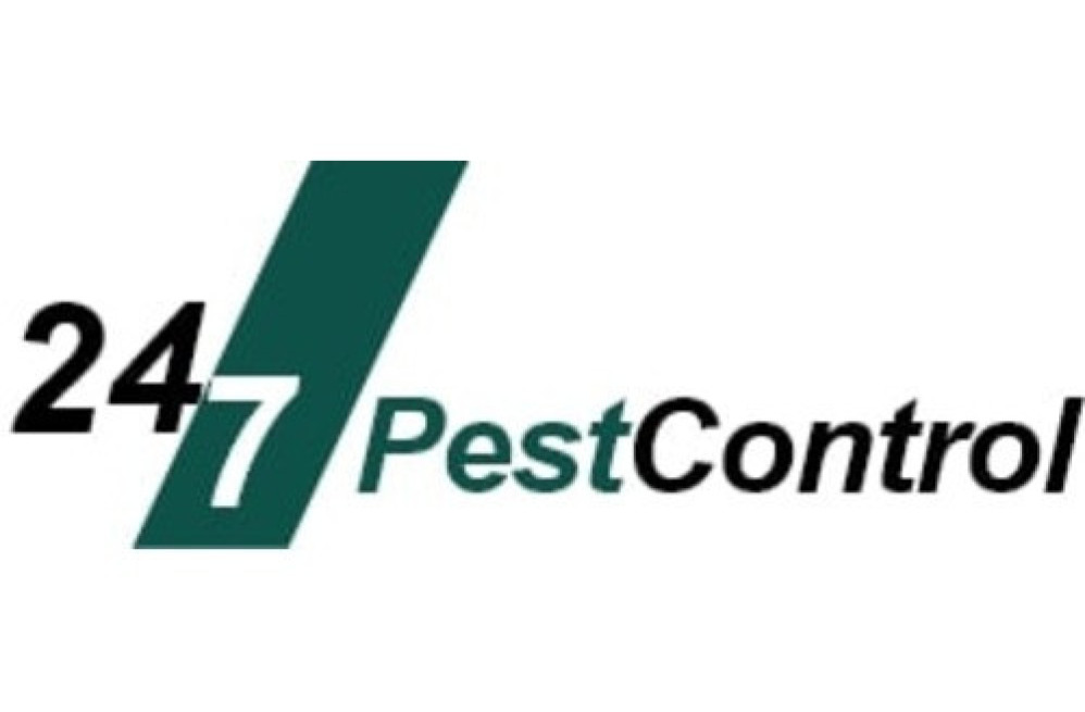 247-pest-control-brixton-big-0