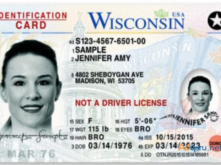 Buy Real and Fake ID Cards: High-Quality Choices.