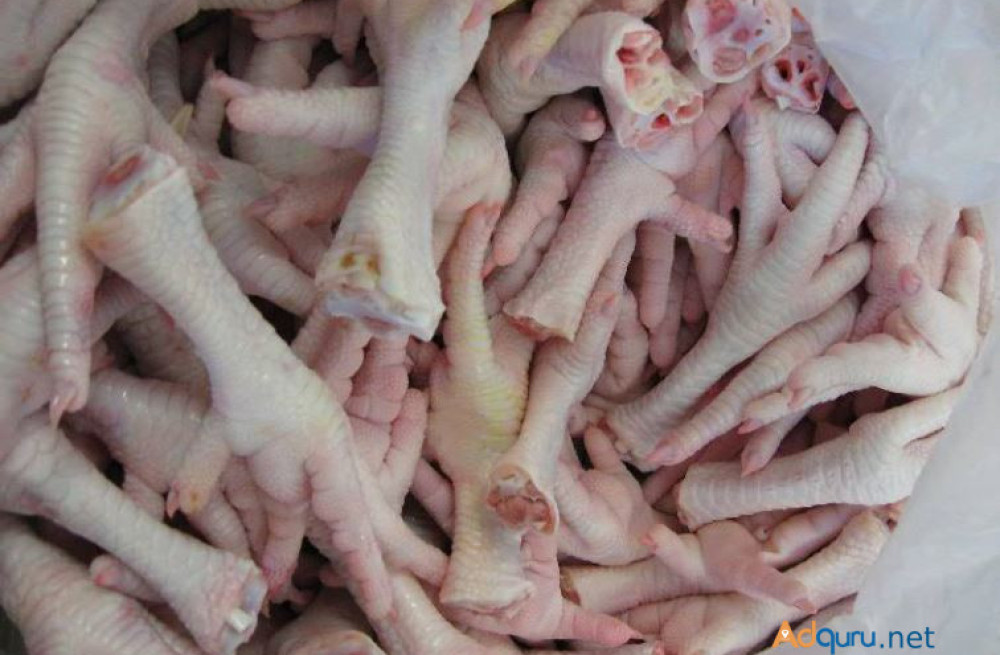 frozen-chicken-feet-for-sale-bulk-big-0