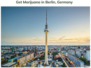 Get Marijuana in Berlin, Germany.