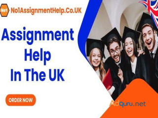 Assignment Help UK - from No1AssignmentHelp.Co.UK