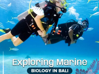 Exploring Marine Biology in Bali