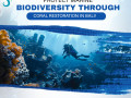 protect-marine-biodiversity-through-coral-restoration-in-bali-small-0