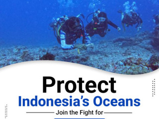 Protect Indonesia’s Oceans – Join the Fight for Ocean Conservation