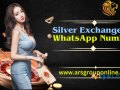 silver-exchange-id-for-seamless-betting-experience-small-0