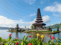 explore-bali-with-our-unique-tour-packages-small-0