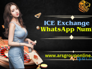 ARS Group Online: Best Ice Exchange Betting