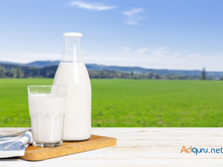 Fresh A2 Gir Cow Milk Price Ahmedabad: Pure & Nutritious