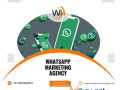 professional-whatsapp-marketing-agency-small-0