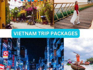 Unforgettable Vietnam Packages: Explore the Heart of Southeast Asia