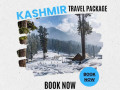 discover-paradise-special-tour-packages-for-kashmir-small-0