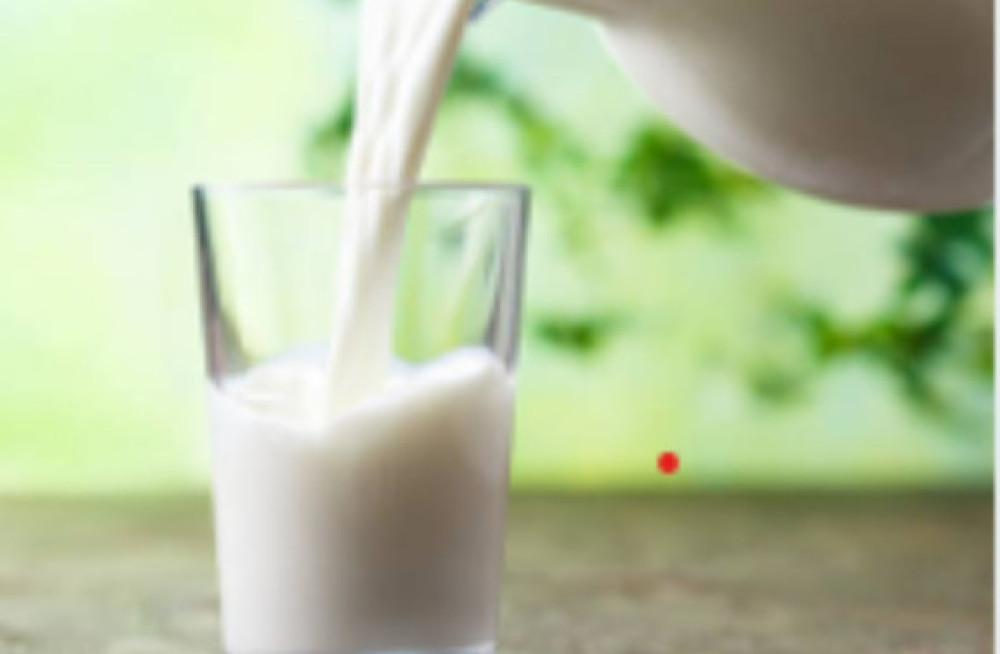 get-a2-fresh-milk-in-rajkot-from-dailies-farm-big-0