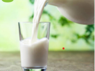 Get A2 Fresh Milk in Rajkot from Dailies Farm ?