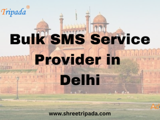 Bulk SMS Service Provider in Delhi | Try Free SMS Now