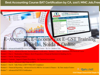 Accounting Course in Delhi 110044, after 12th and Graduation by SLA. GST and Accounting, Taxation and Tally Prime Institute in Delhi, Noida,