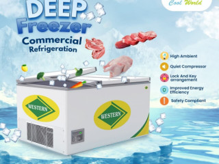 Deep Freezer in Dindigul