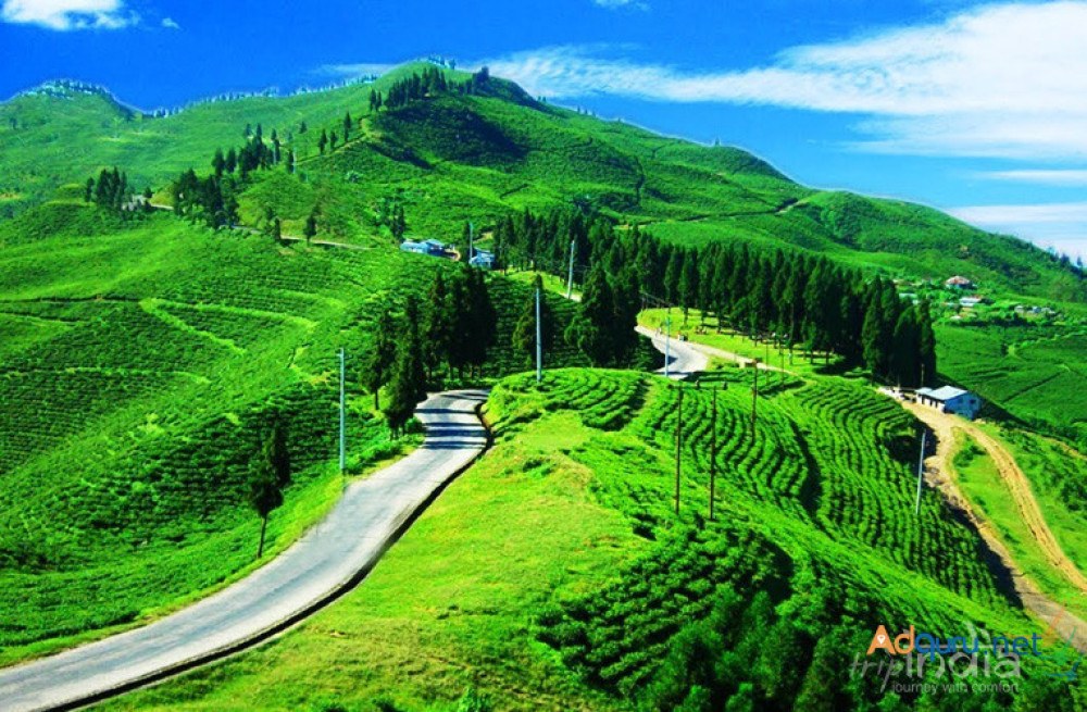 discover-the-enchanting-beauty-of-sikkim-tailored-tour-packages-by-wandeorn-big-0