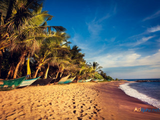 Explore Sri Lanka Tour packages With Exclusive Offers