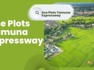 Ace Plots Yamuna Expressway: A Haven of Luxury Living