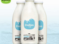 buy-natural-gir-cow-milk-in-rajkot-fresh-from-the-farm-small-0