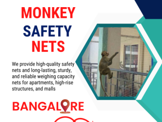 Monkey Safety Nets in Bangalore: The Ultimate Solution for Monkey Menace