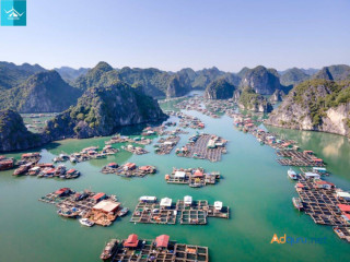 Discover the Wonders of Cat Ba Island