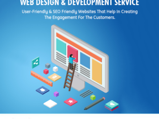 Best Web Designing Company in Delhi