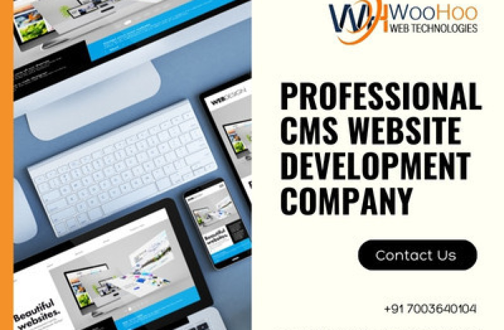 professional-cms-website-development-company-big-0