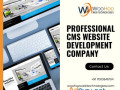 professional-cms-website-development-company-small-0