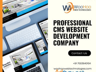 Professional Cms Website Development Company