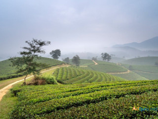 Uncover the Best Things To Do In Sapa