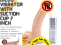 realistic-dildo-vibrator-with-suction-cup-7-inch-call-8697743555-small-0