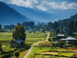 Kashmir Tour Packages| Tours, Blogs, Guides & More | WanderOn