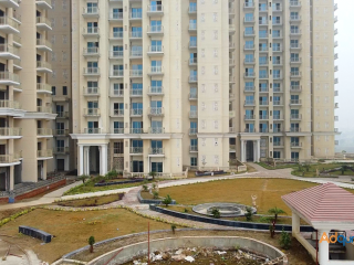 Why Capital Athena Specifications are trending in Noida Extension?