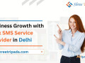 business-growth-with-bulk-sms-service-provider-in-delhi-small-0