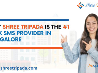 Why Shree Tripada is the 1 Bulk SMS Provider in Bangalore