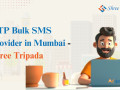 otp-bulk-sms-provider-in-mumbai-shree-tripada-small-0