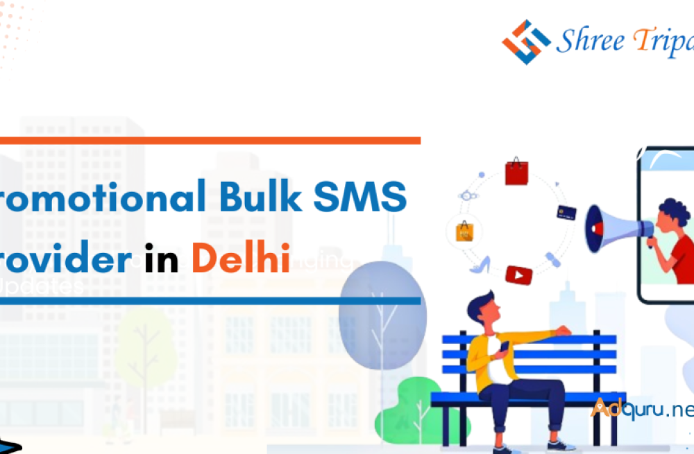 promotional-bulk-sms-provider-in-delhi-shree-tripada-big-0