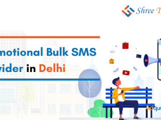 Promotional Bulk SMS Provider in Delhi - Shree Tripada