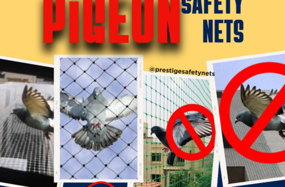 choose-prestige-for-pigeon-safety-nets-in-bangalore-with-the-best-price-big-0