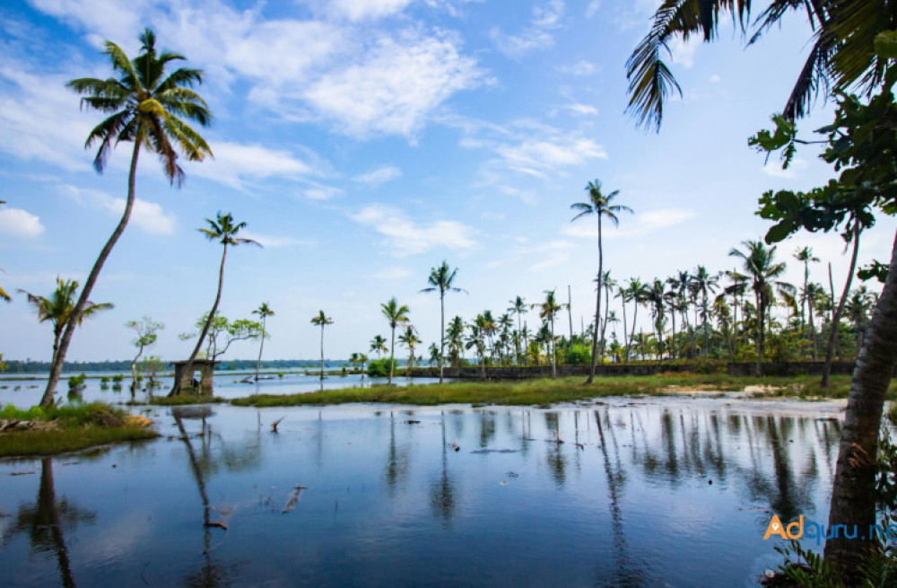 wanderons-kerala-journey-discover-natures-bounty-big-0