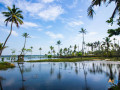 wanderons-kerala-journey-discover-natures-bounty-small-0