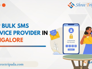 OTP Bulk SMS Service Provider in Bangalore - Shree Tripada