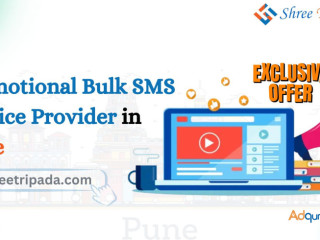 Promotional Bulk SMS Service Provider in Pune - Shree Tripada