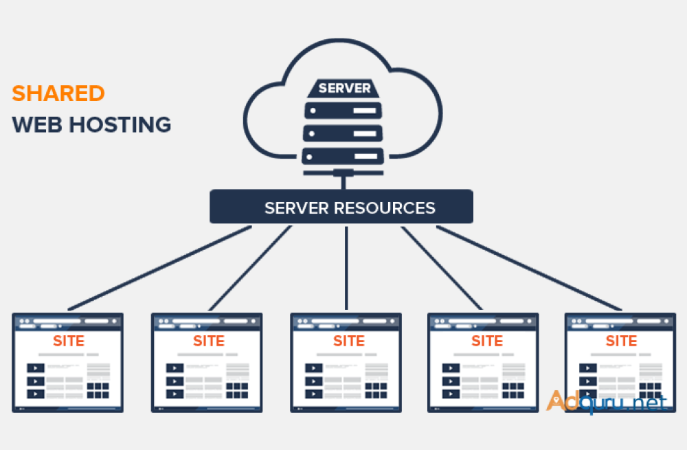 are-you-looking-for-the-best-shared-hosting-in-india-big-0