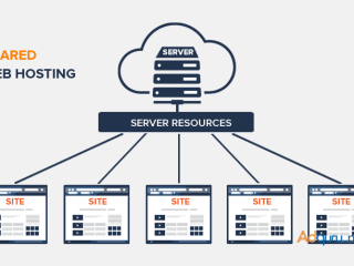 Are You Looking For The Best Shared Hosting in India?