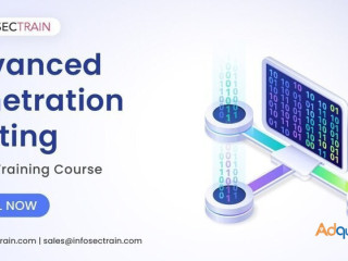 Penetration Testing Training Master Pentesting Skills